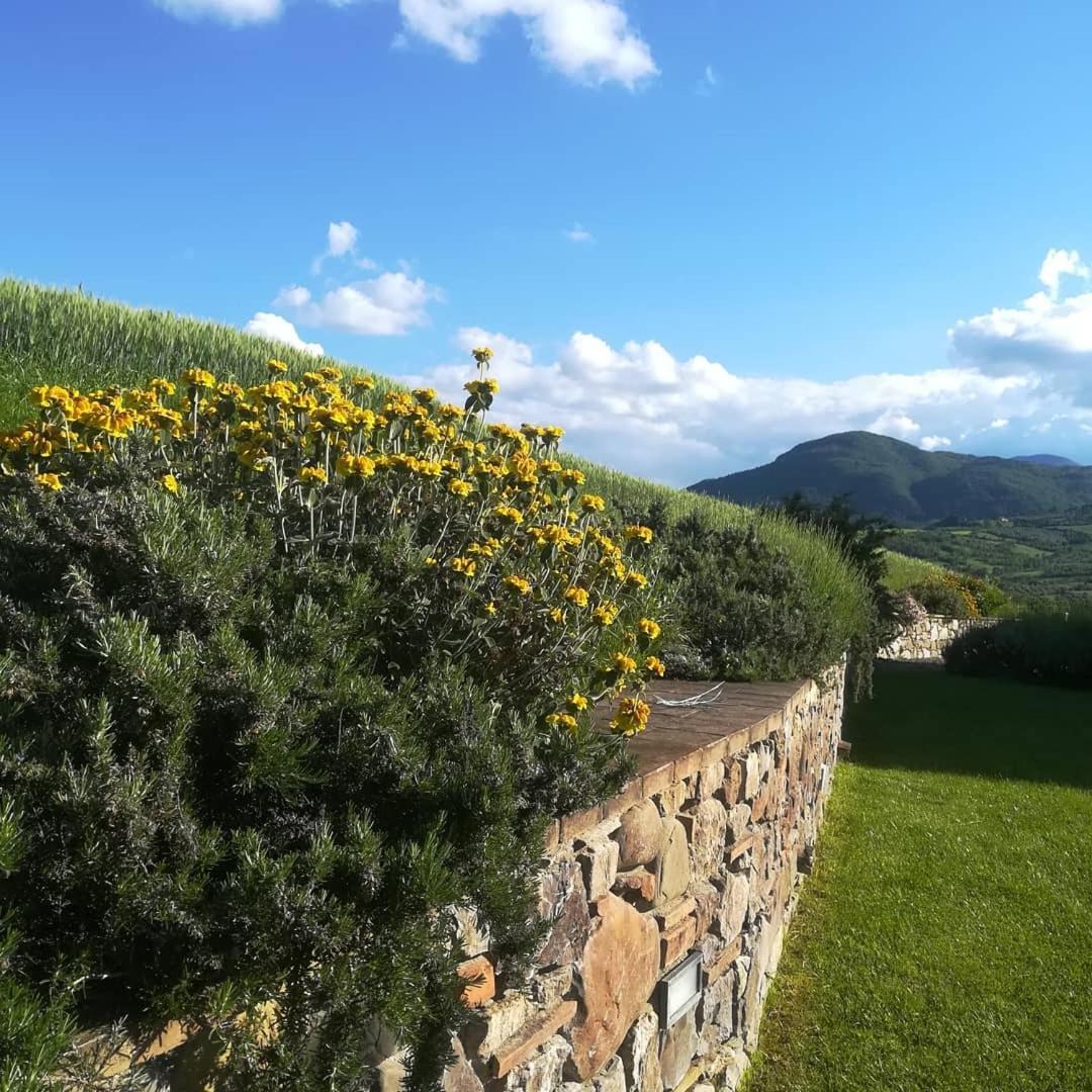 Agriturismo La Paciarella Vila Campiglia dʼOrcia Exterior foto